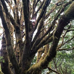 Meet your Posher, Colton